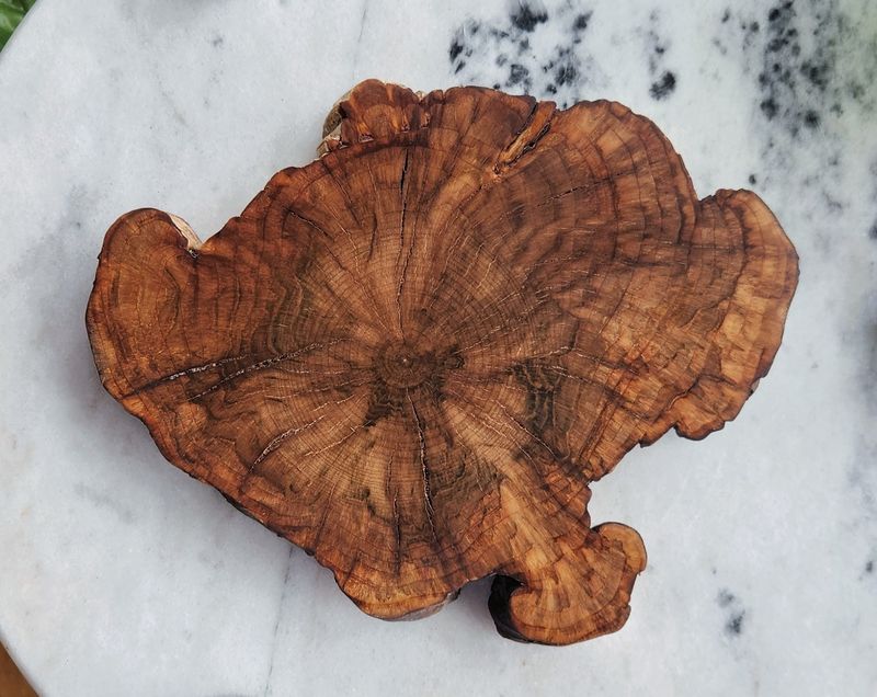 Cherry Burl Coaster