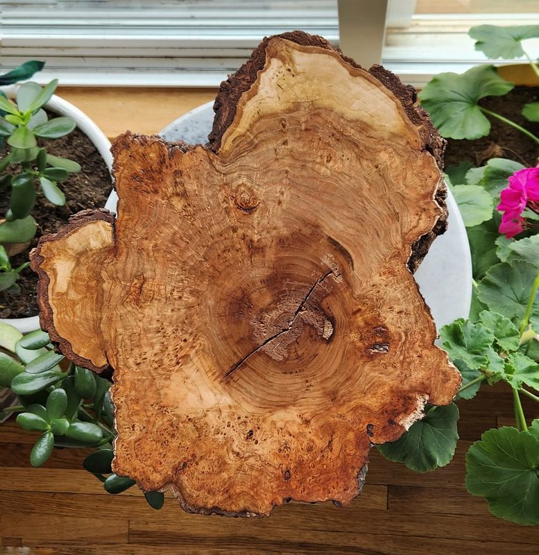 Cherry Burl Charcuterie Board