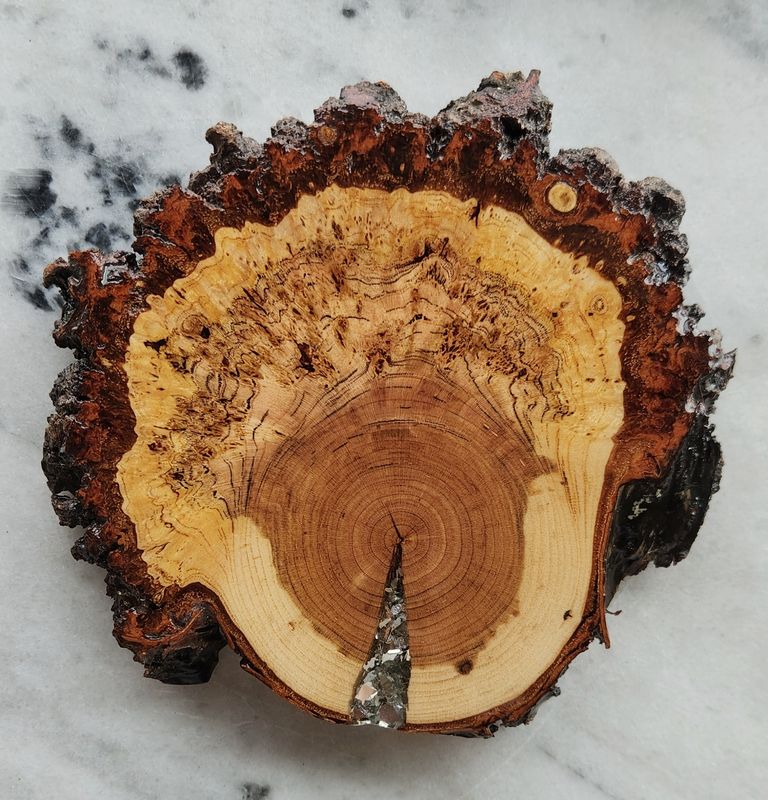 Cherry Burl Coaster with Mirror Chips