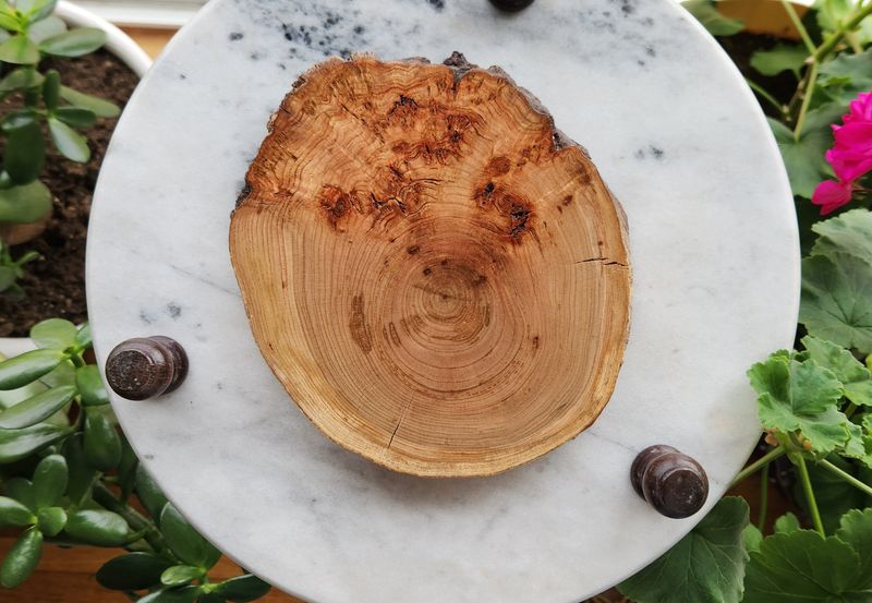 Cherry Wood Burl Trivet