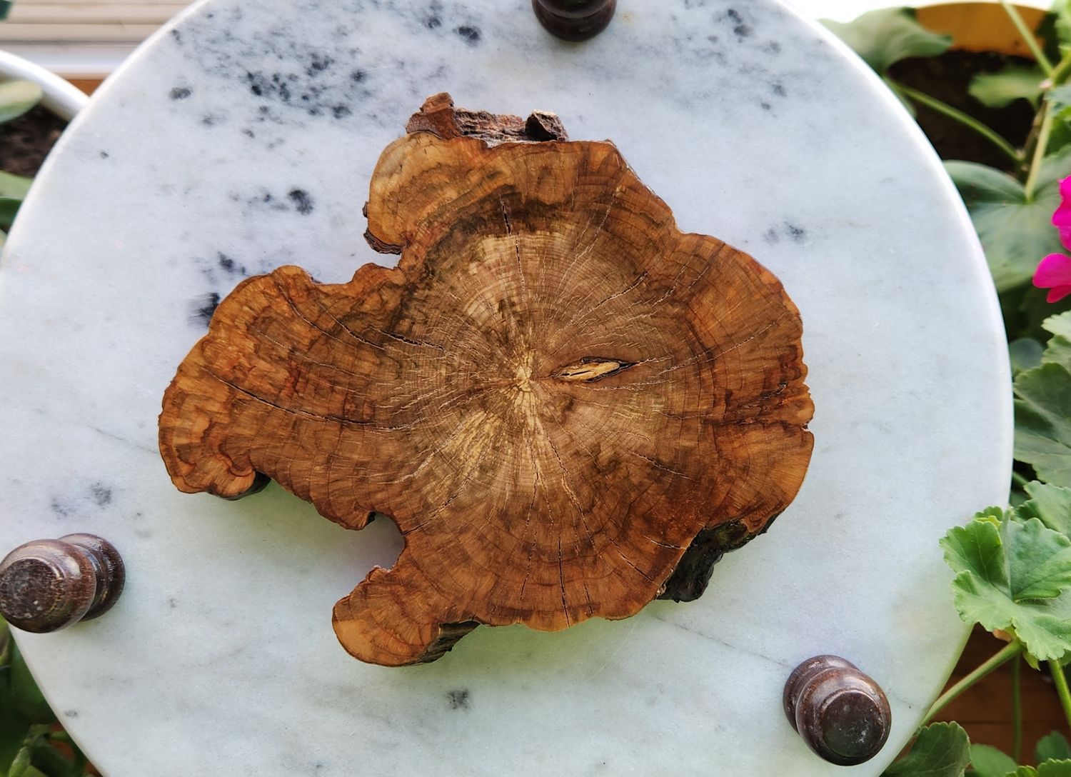 Cherry Burl Coaster