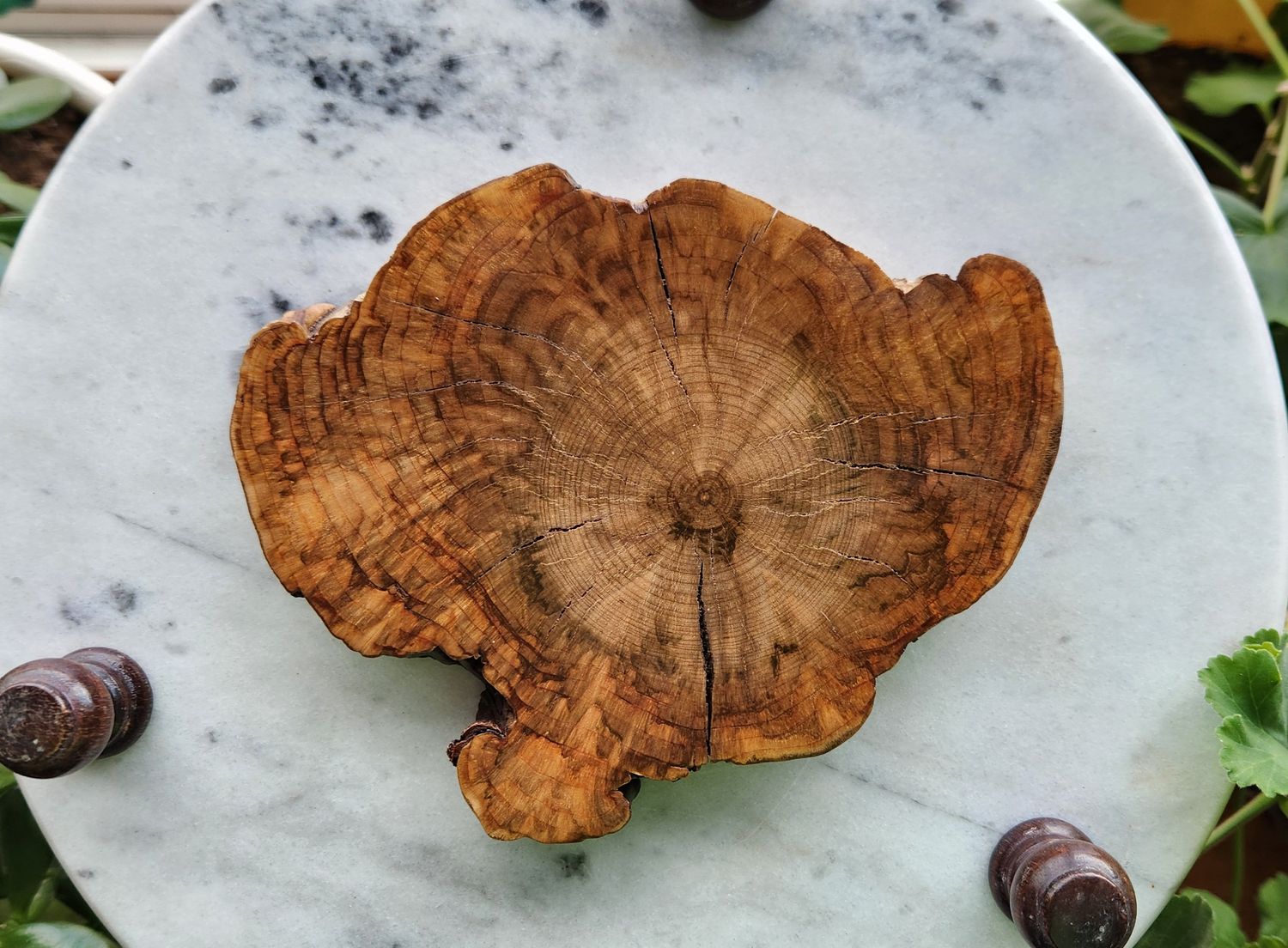 Cherry Wood Burl