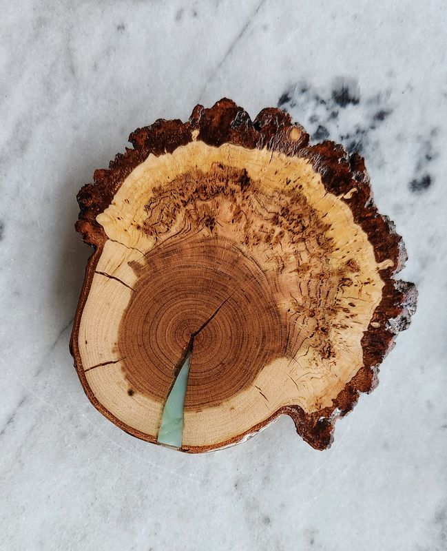 Cherry Burl Coaster