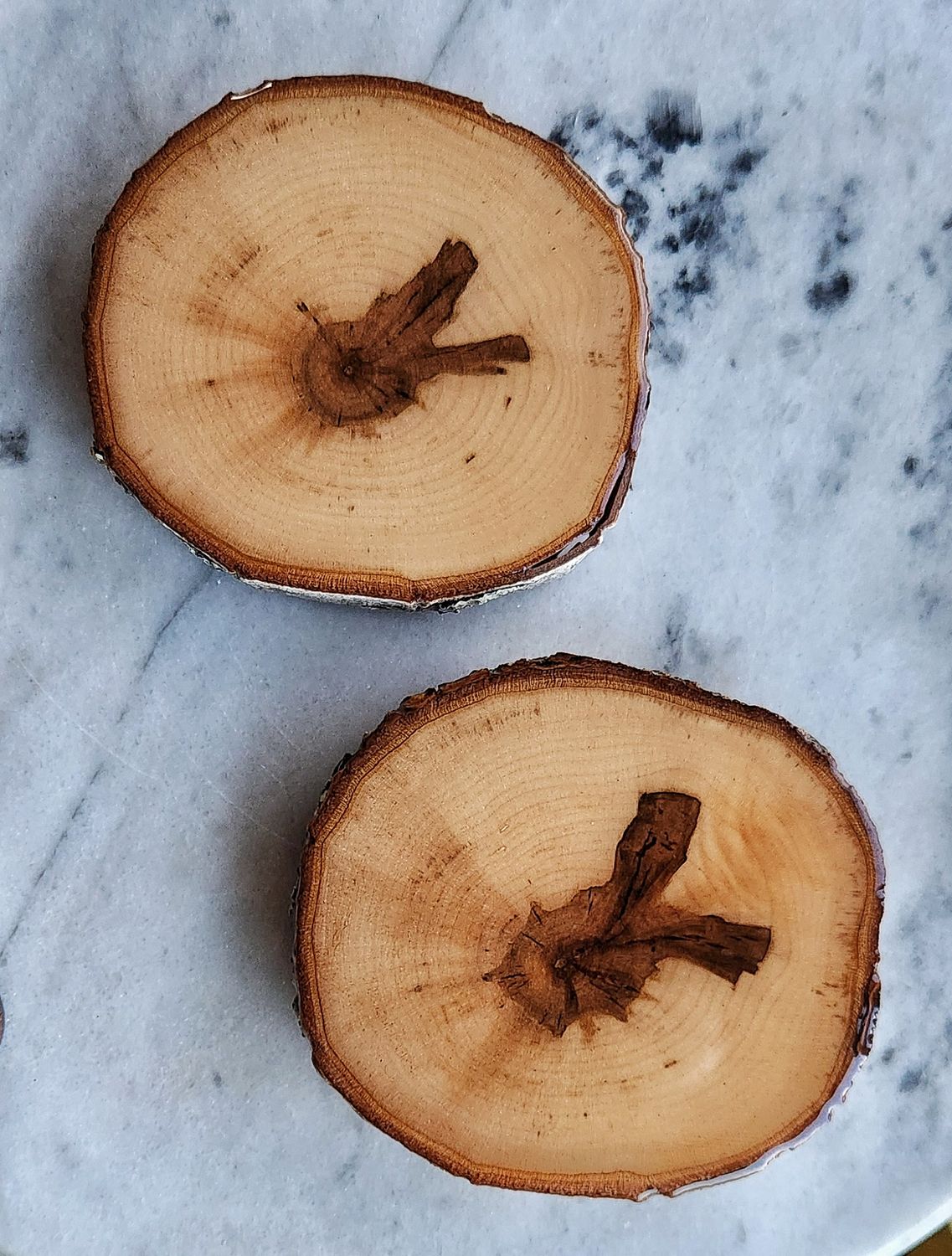 Maple Wood Coaster Set