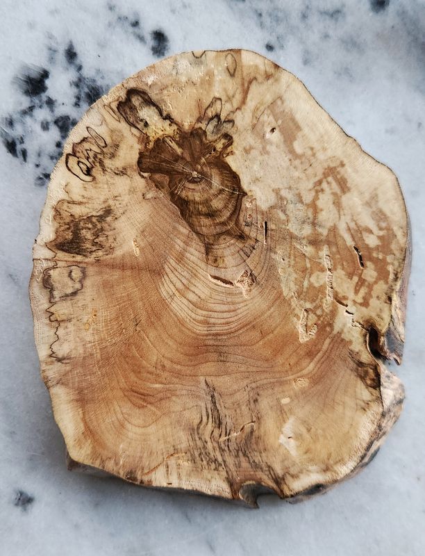 Spalted Maple Coaster