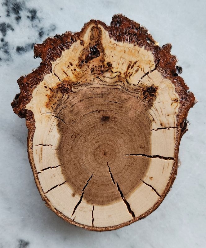 Cherry Burl Coaster