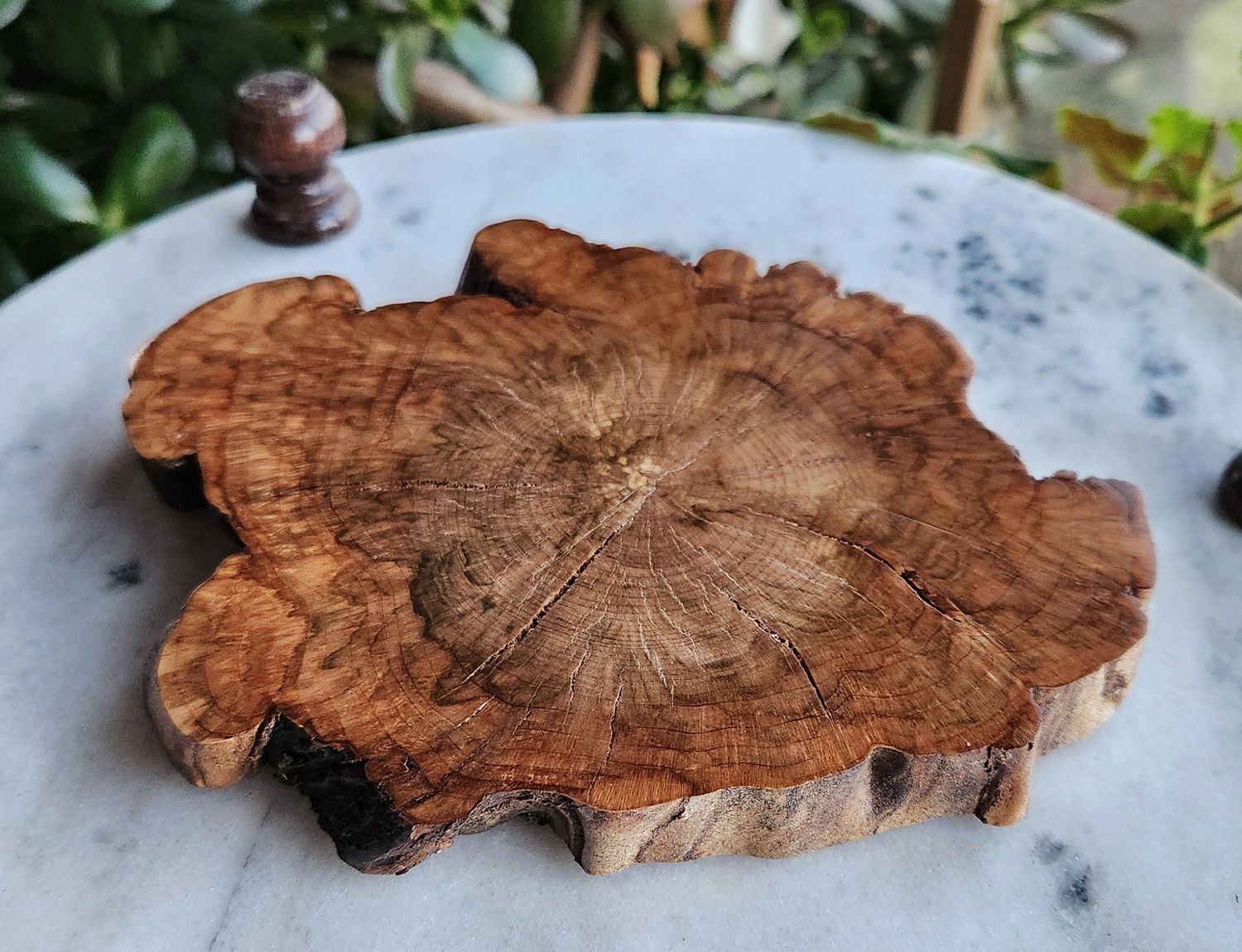 Cherry Burl Coaster