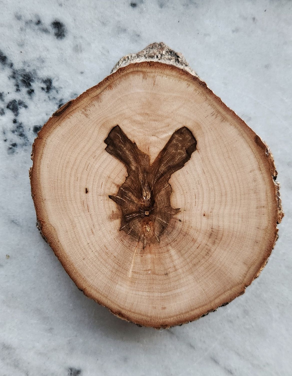 Maple Wood Coaster