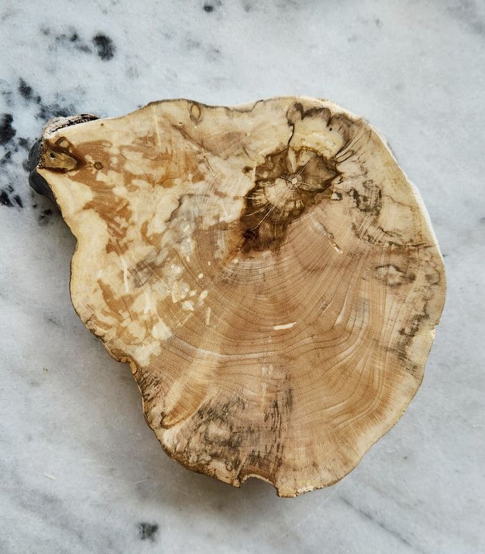 Spalted Maple Coaster