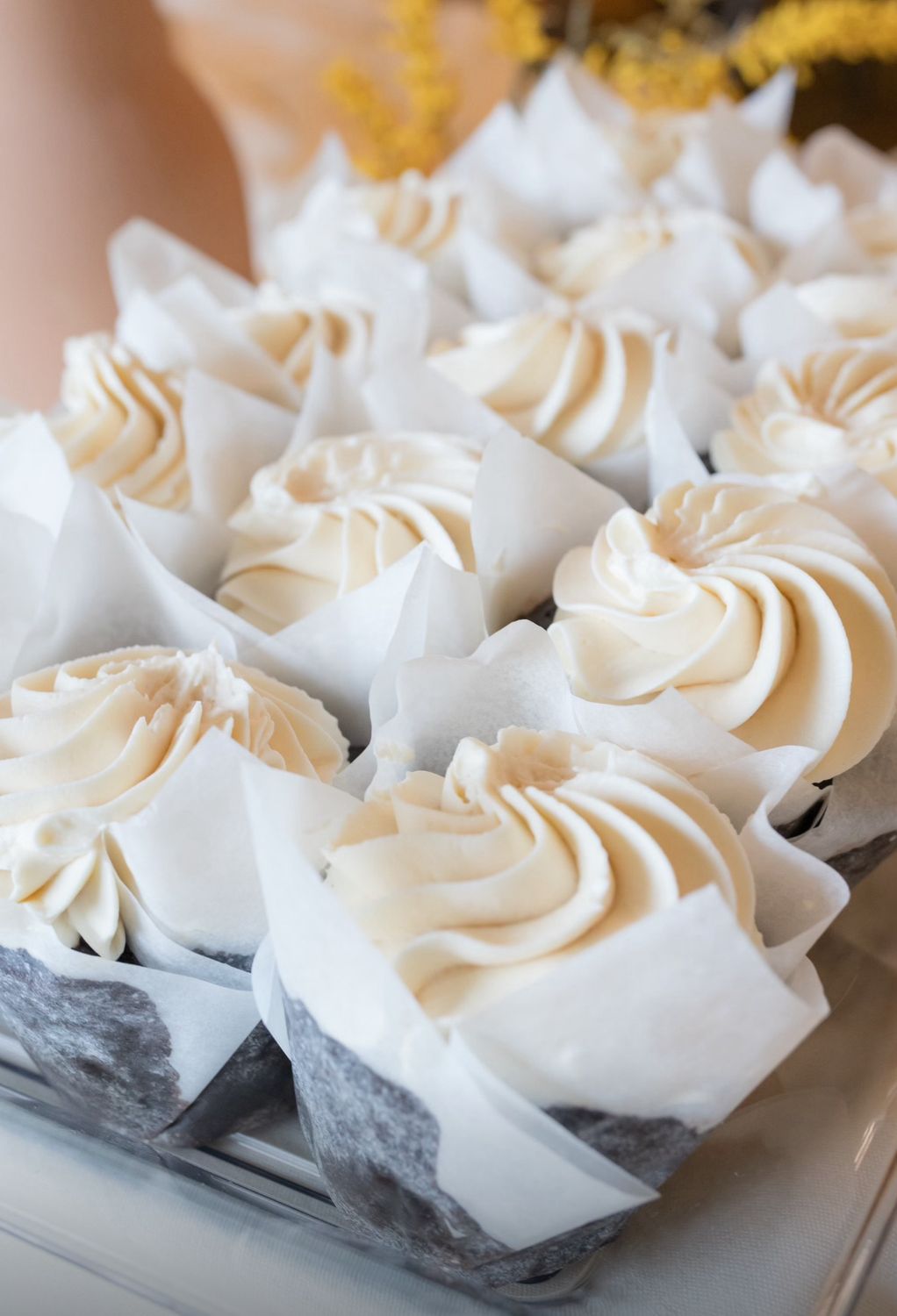 6 Pack Large Chocolate With Salted Caramel Whip