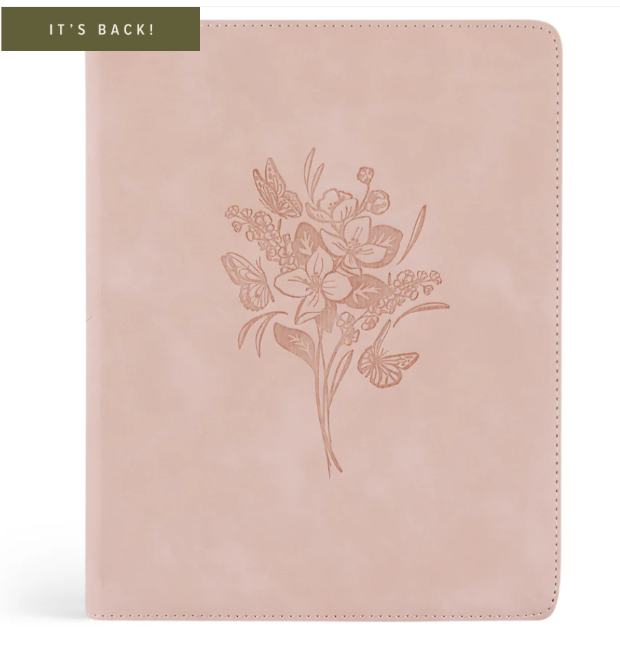 NLT Notetaking Bible