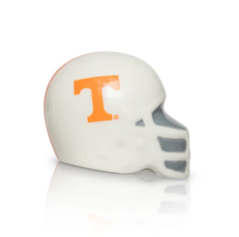 TN Helmet Attachment