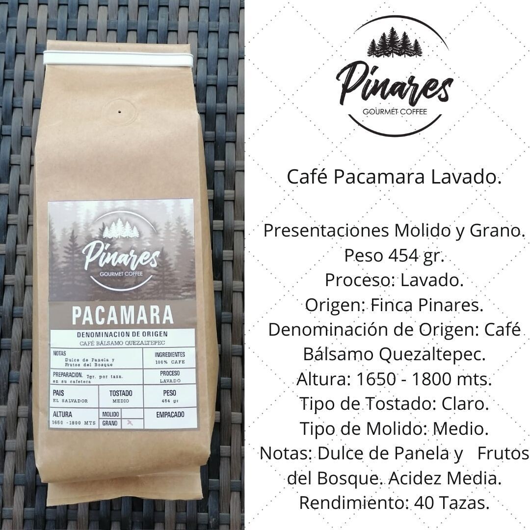 Libra Café Pacamara Lavado