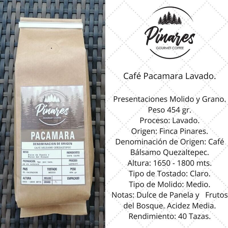 Libra Café Pacamara Lavado