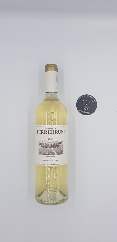 Domaine de Terrebrune Bandol 2020 blanc