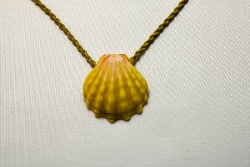 Sunrise Shell Necklace