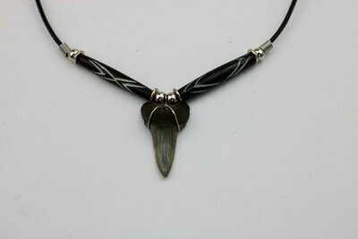 Fossilized Mako Shark Tooth Necklace
