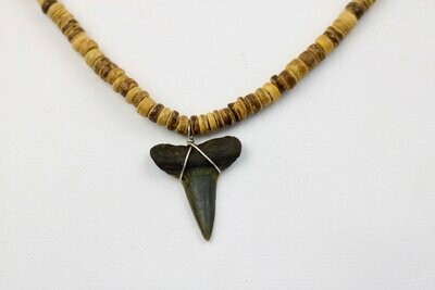 Fossilized Mako Shark Tooth on Coconut Bead Necklace