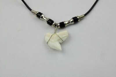 Modern Day Tiger Shark Tooth Black Necklace