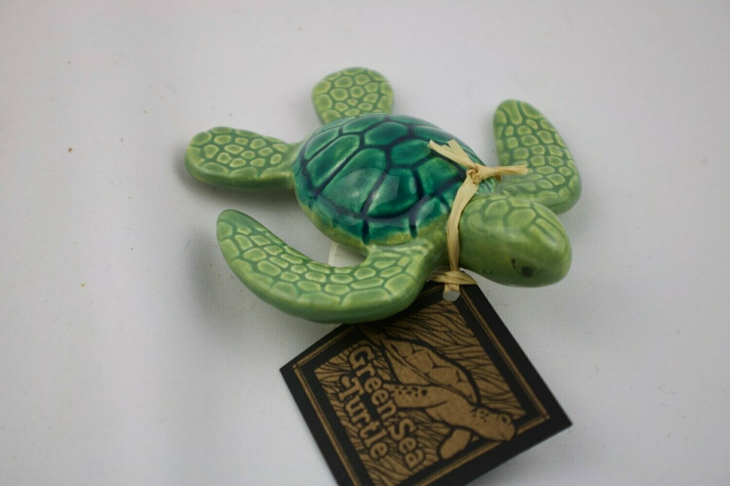 Green Sea Turtle
