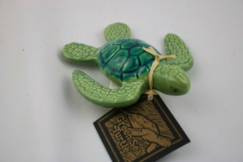 Green Sea Turtle
