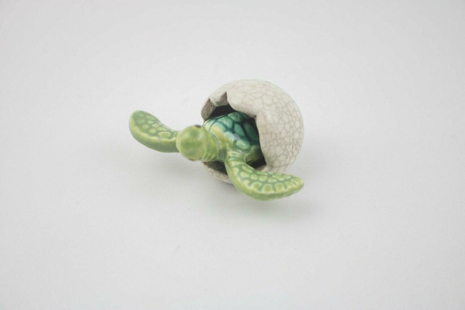 Mini Turtle in Egg