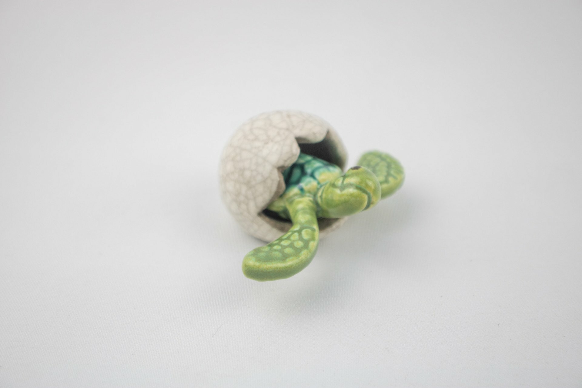 Mini Turtle in Egg