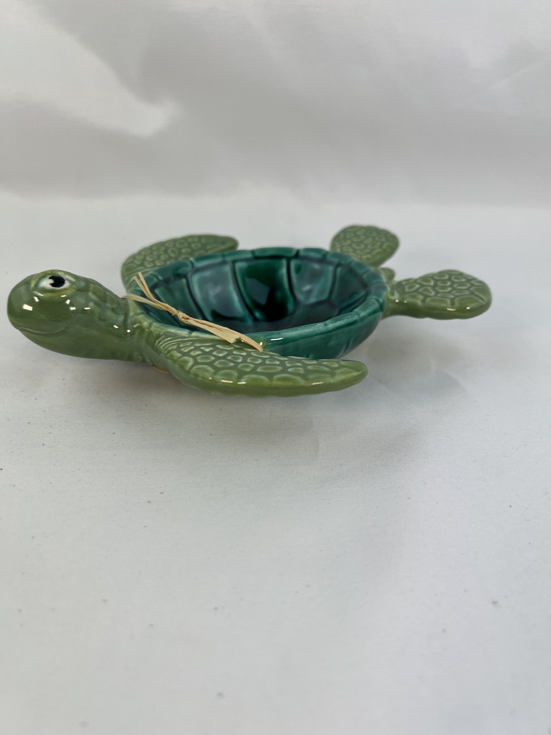 Green Sea Turtle Dish