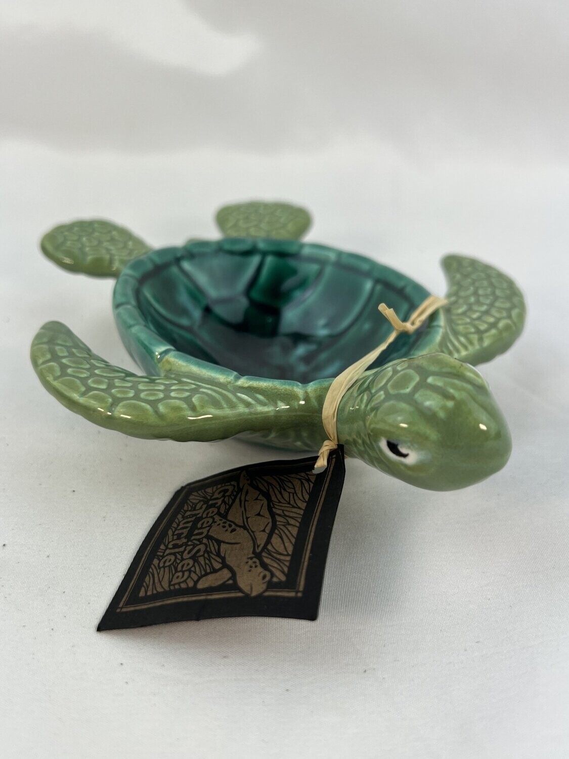 Green Sea Turtle Dish