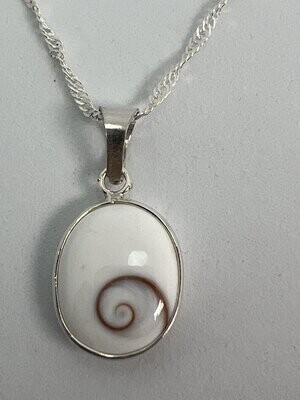 Silver Shiva Eye Shell Oval Necklace