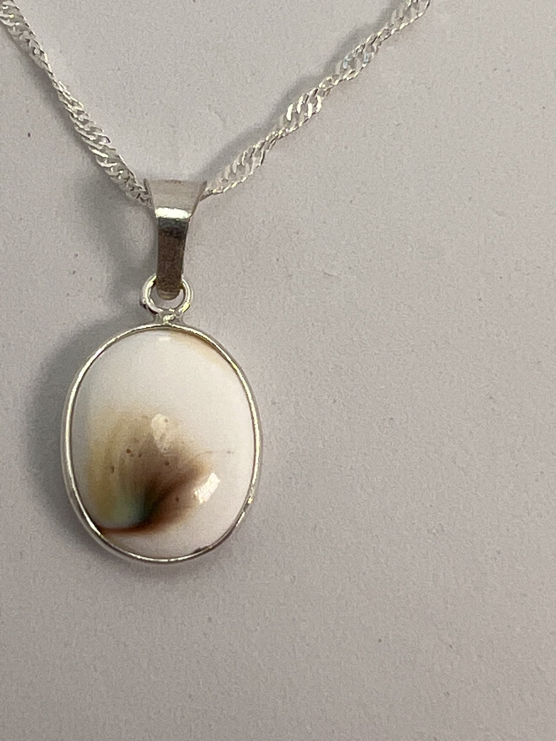 Silver Shiva Eye Shell Oval Necklace