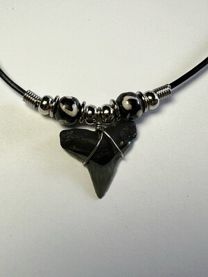 Fossil Bull Shark Tooth Necklace