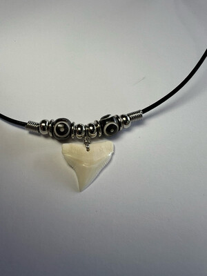 Modern Day Bull Shark Tooth Necklace