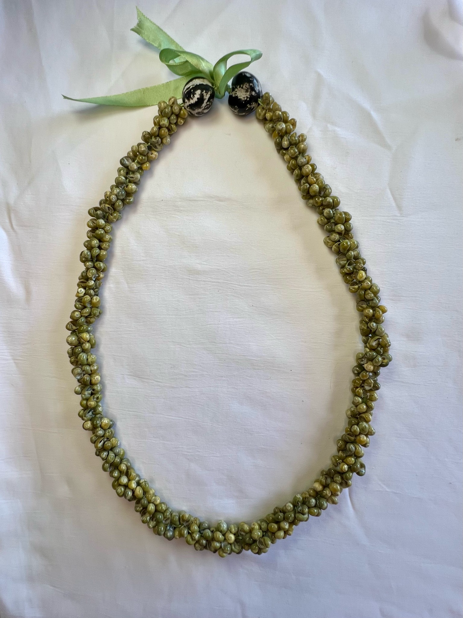 Hawaiian Mongo Shell Lei  Necklace (3 Colors)