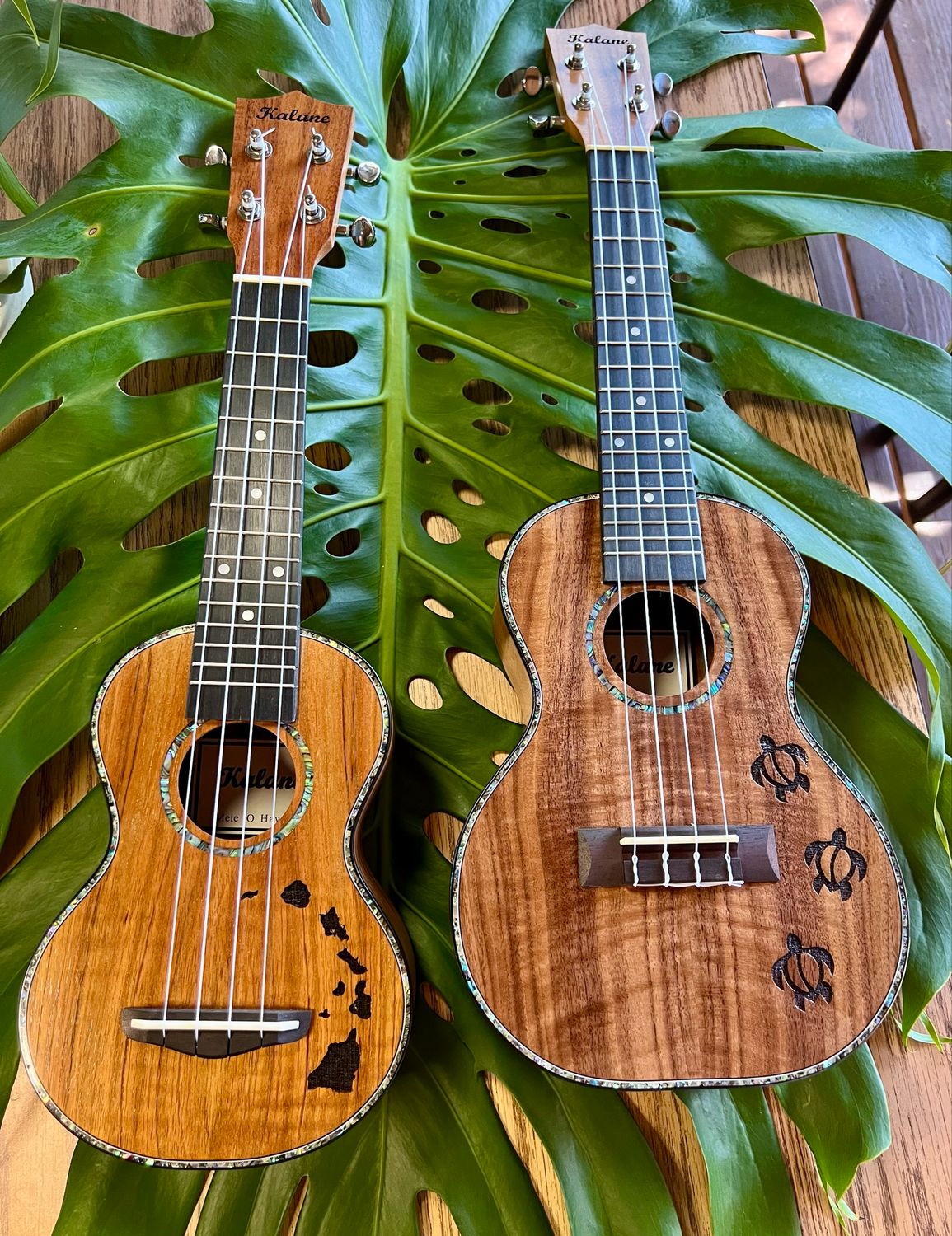 Kalane Soprano Ukulele with case (2 designs)