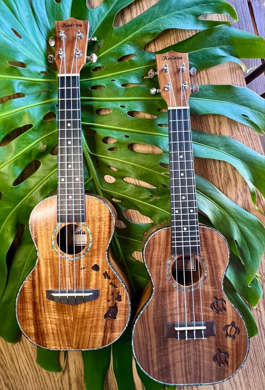 Kalane Concert Ukulele with case (2 designs)
