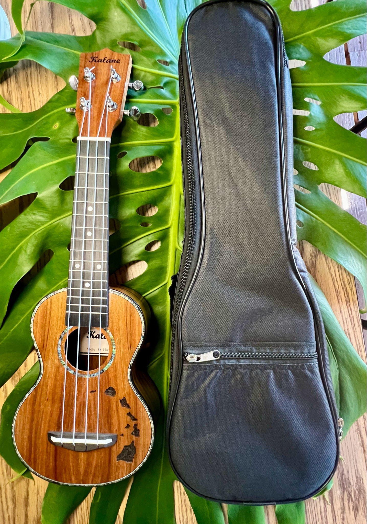 Kalane Concert Ukulele with case (2 designs)
