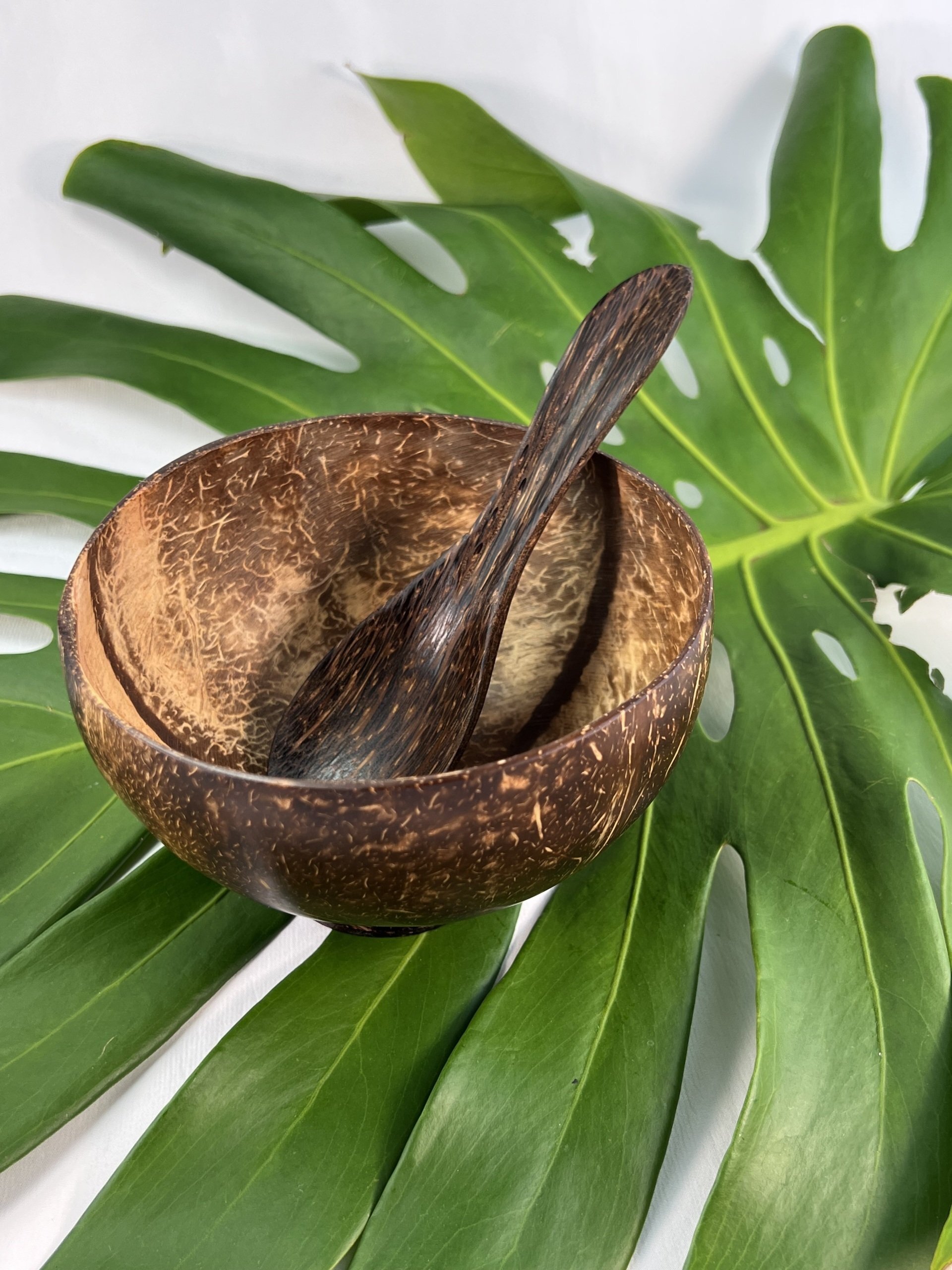 Coconut Shell Bowl with Coconut Wood Spoon