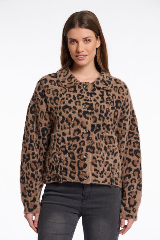 Bubbly5012511 print
