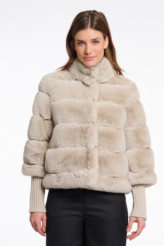 Feline7002512 taupe