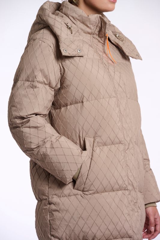 Zestte002512 cognac