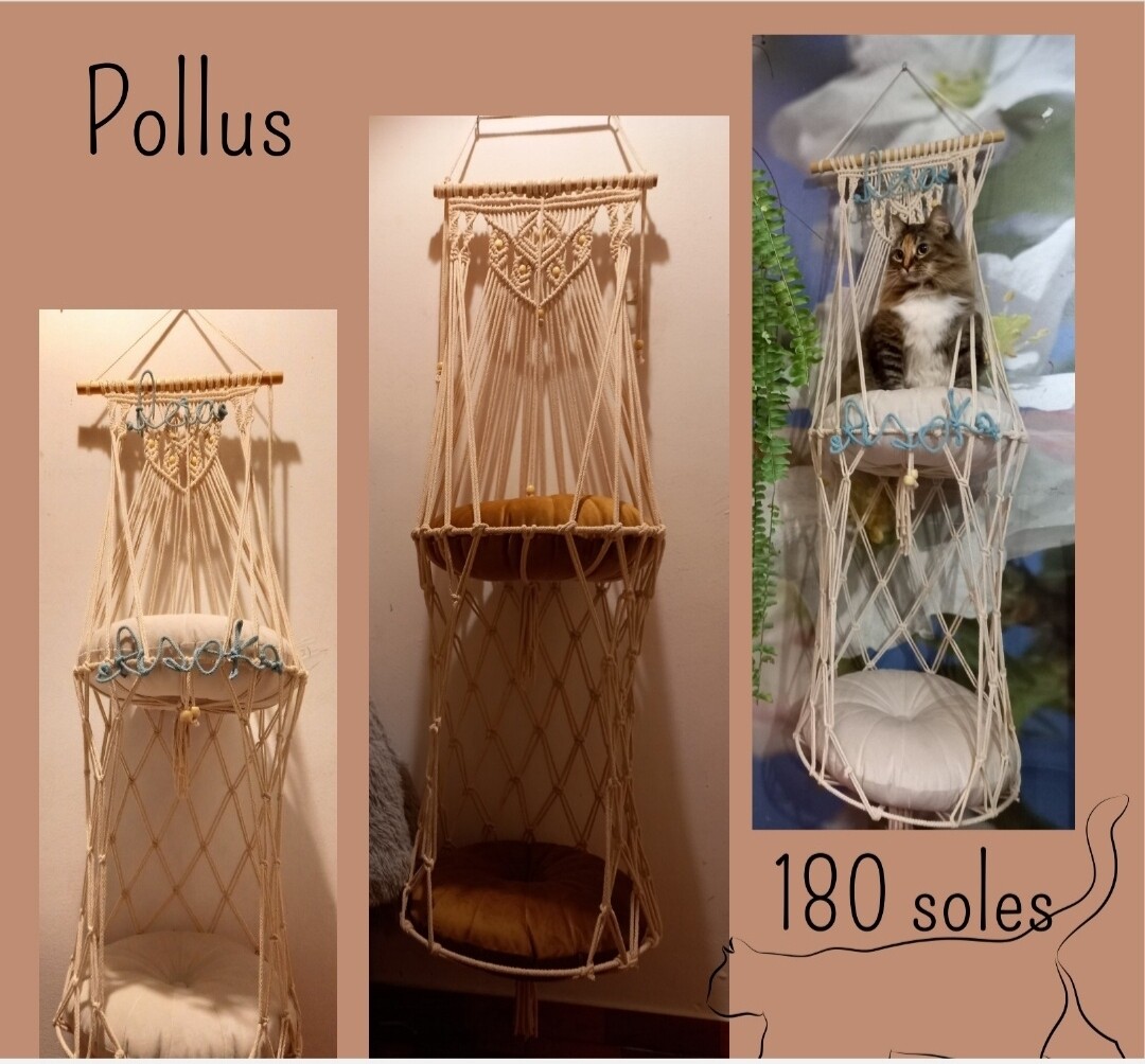 POLLUS