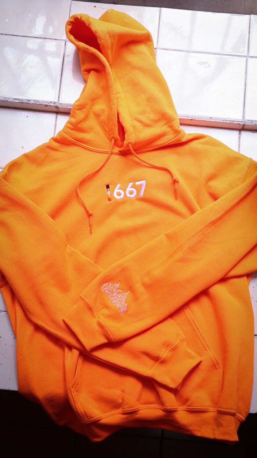 Hoodie Naranja &#39;667&#39; Talla EG