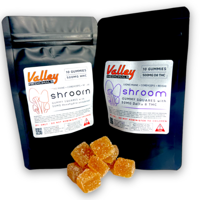 Valley Medicinals&#39; shroom Day &amp; Nite Gummy Squares 50MG