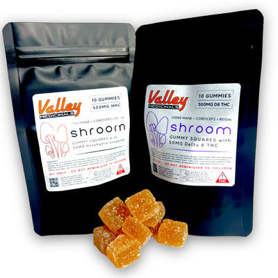 shroom Day &amp; Nite Gummy Squares 50MG