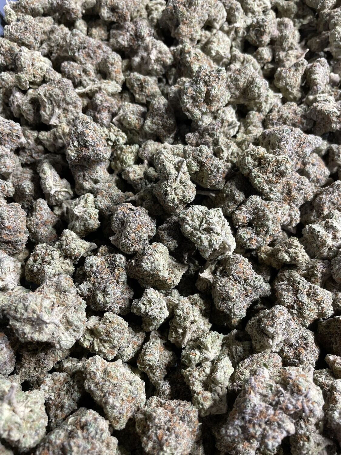 Exotic Hemp Cultivar Specimens