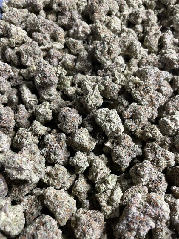 Exotic Hemp Cultivar Specimens Exotic Hemp Cultivar Specimens