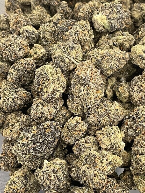 Greenhouse Hemp Cultivar Specimens Greenhouse Hemp Cultivar Specimens