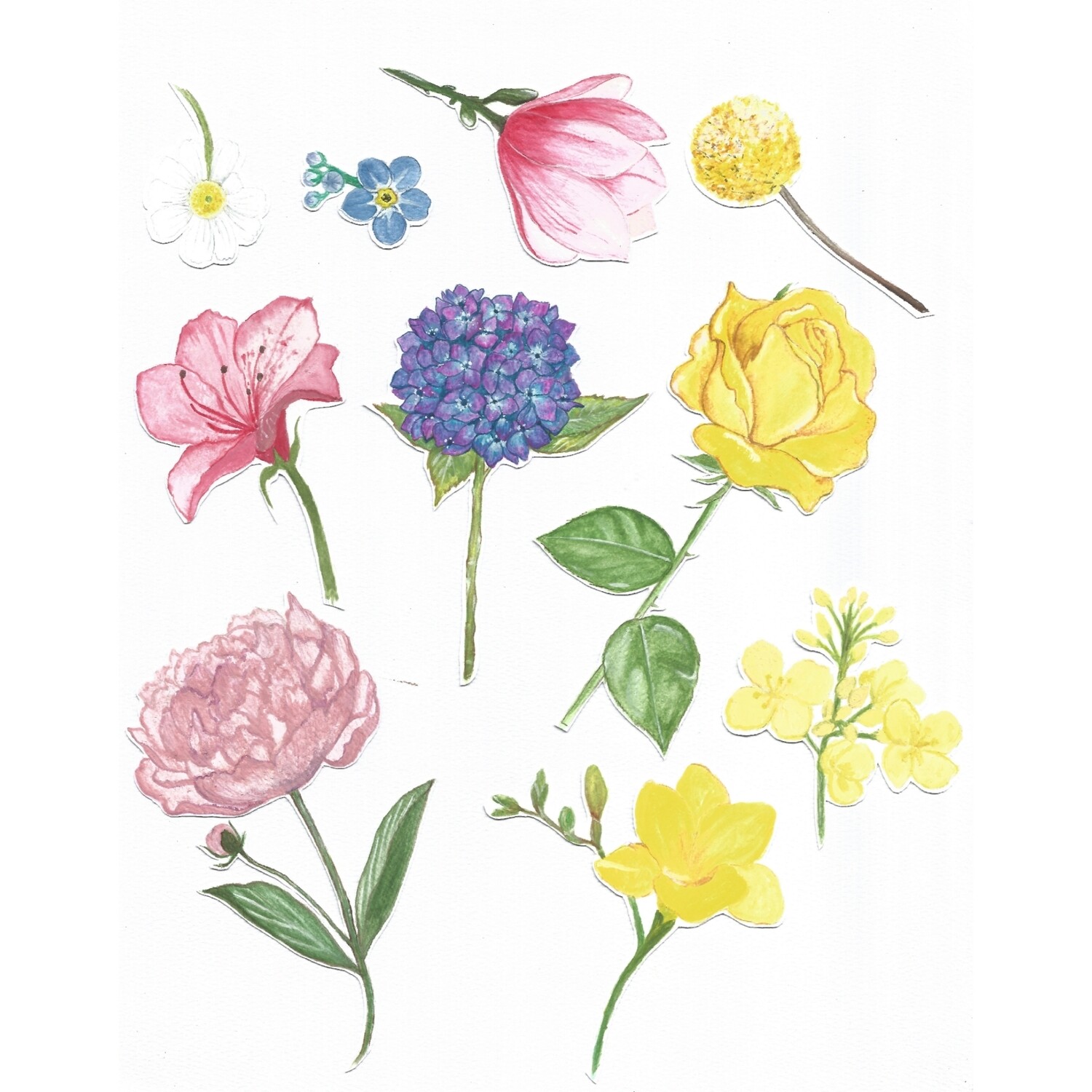 DIY Flora Shower Cut-out Stickers Set