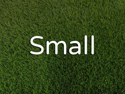 Small